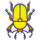 beetle