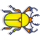 beetle