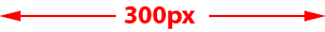 300px
