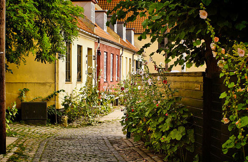 Dragør street